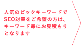 人気のビックキーワードでSEO対策をご希望の方は、キーワード毎にお見積もりとなります